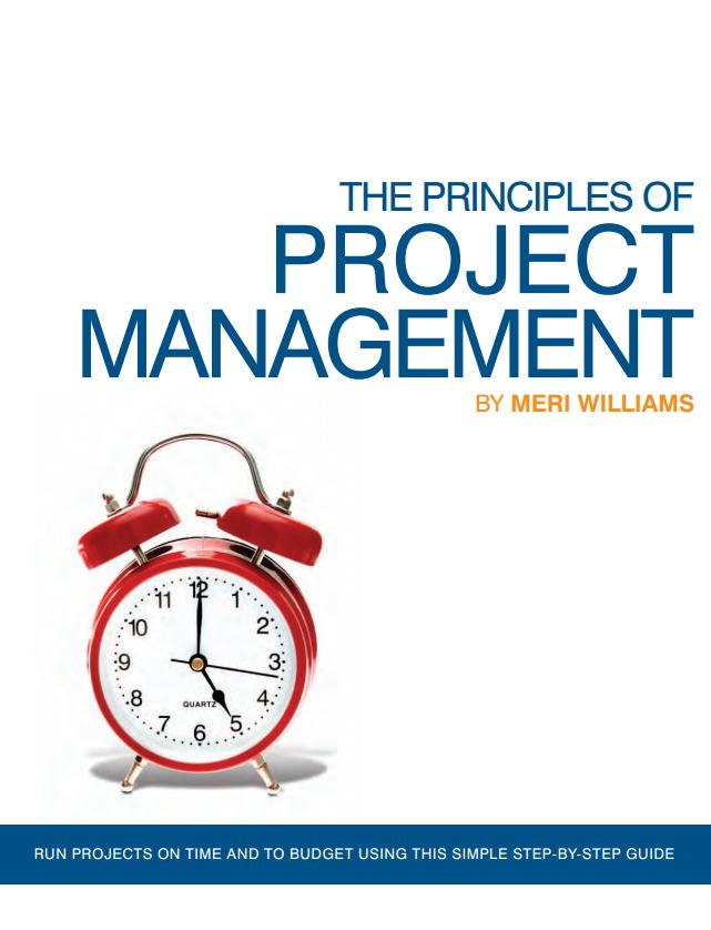 THE PRINCIPLES OF PROJECT MANAGEMENT Free Books to Download and Study