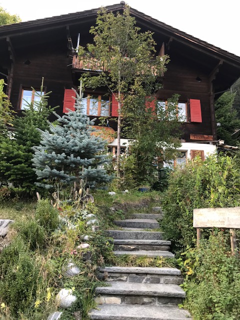 スイス・アデルボーデンの山の斜面に立つ家