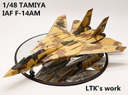 1/48 TAMIYA F-14AM