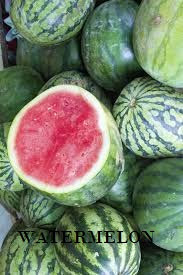 WATERMELON FARMING - BUSINESS PLAN AND FEASIBILITY STUDY TEMPLATE WATERMELON FARMING - BUSINESS PLAN AND FEASIBILITY STUDY TEMPLATE
