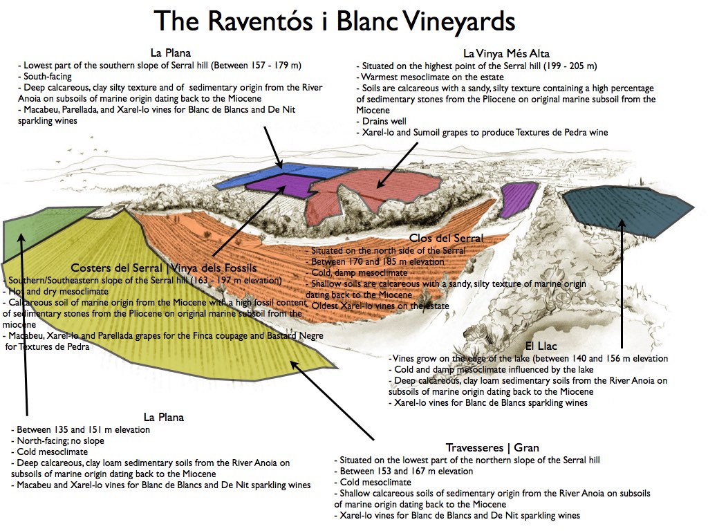 Wine -- Mise en abyme: The 2007 Mas Del Serral from Raventós i Blanc