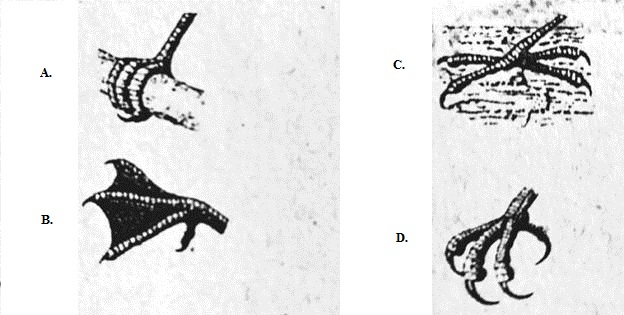 Berikut bukan termasuk kepekaan seorang wirausaha
