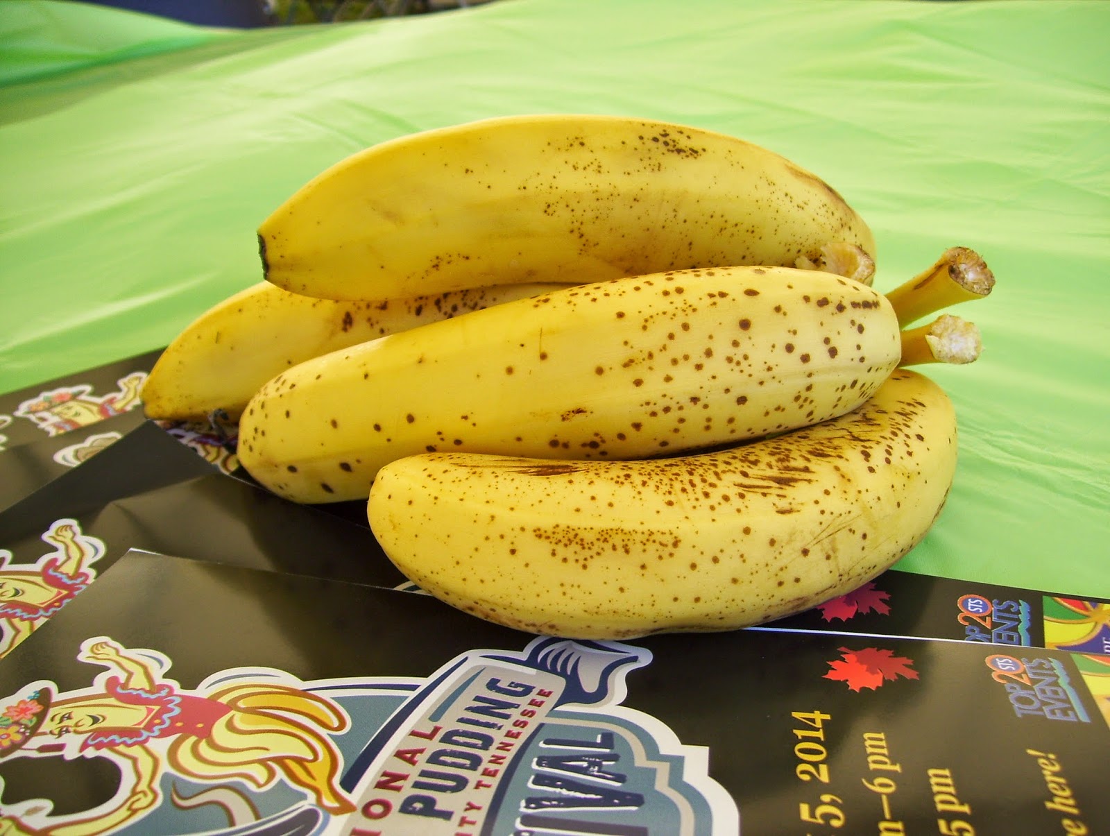 The Art of Positive Living "National Banana Pudding Festival"