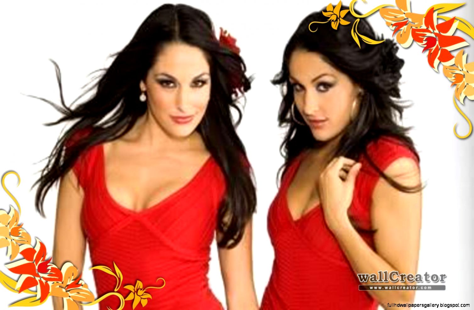 Bella Twins wwe bg   1680  1050 Wallpaper