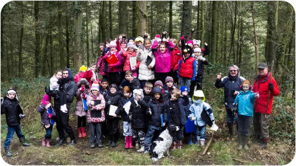 Troserch Woods Llangennech Primary School visit.