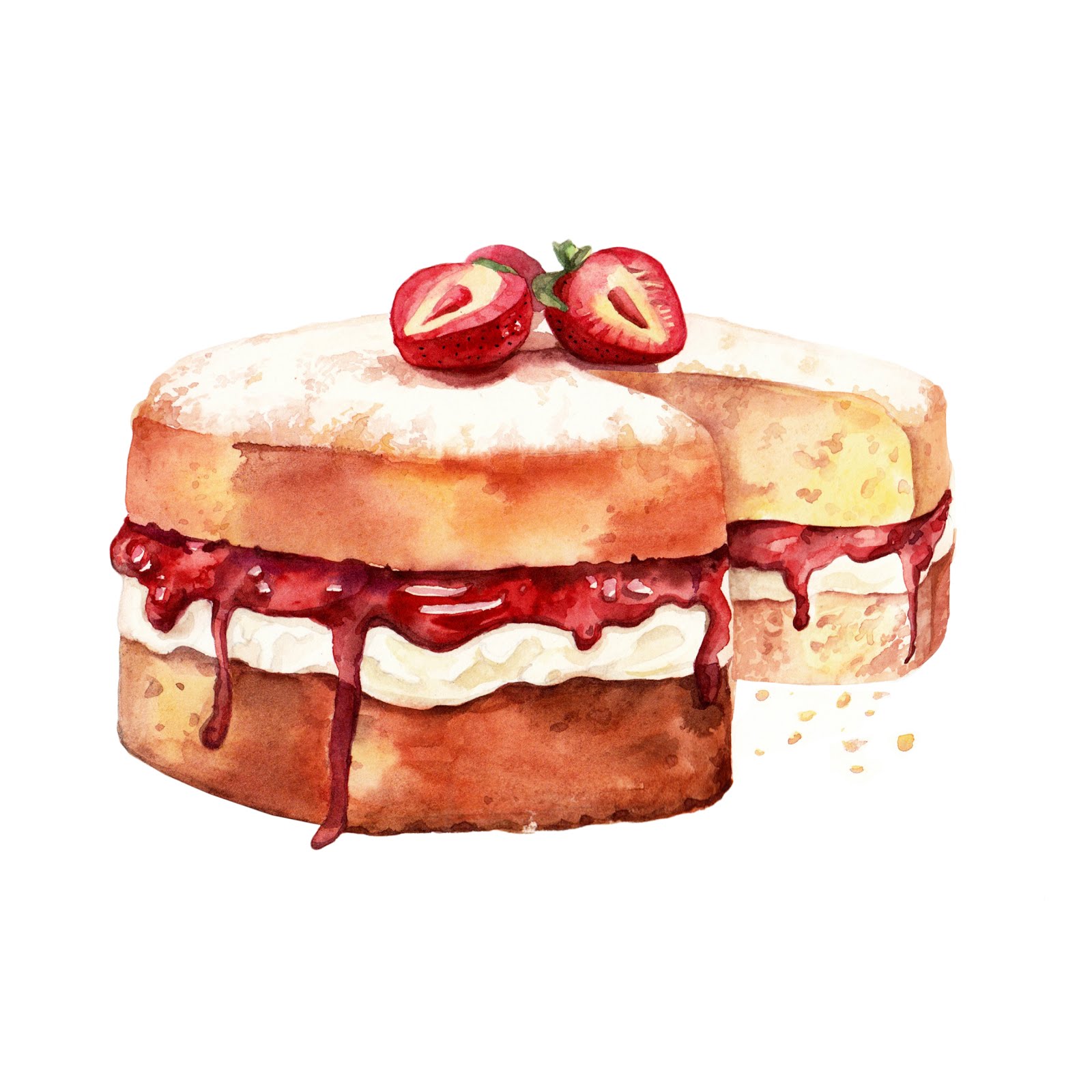 Anastasiya Levashova Freelance Illustrator Watercolour illustration