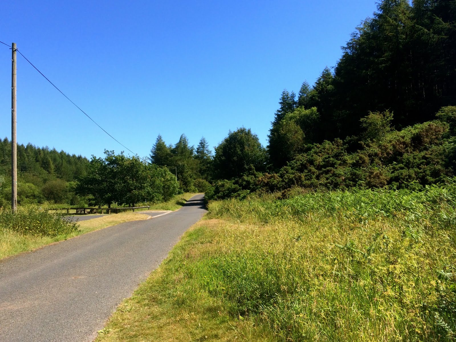 Days out in the Borders Wooler Common