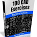 100 CAD Exercise