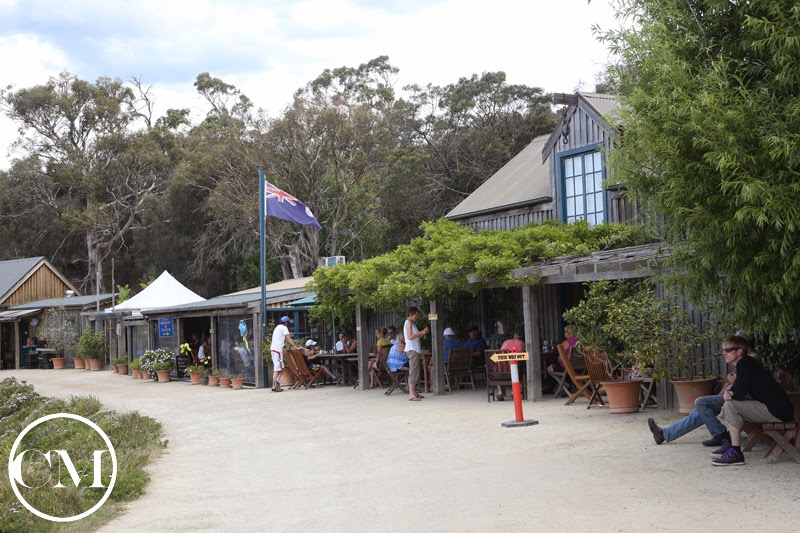 塔斯曼尼亞 Tasmania：Kates Berry Farm