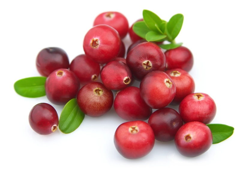 Healthy Tips For all Top 10 Health Benefits of Cranberries