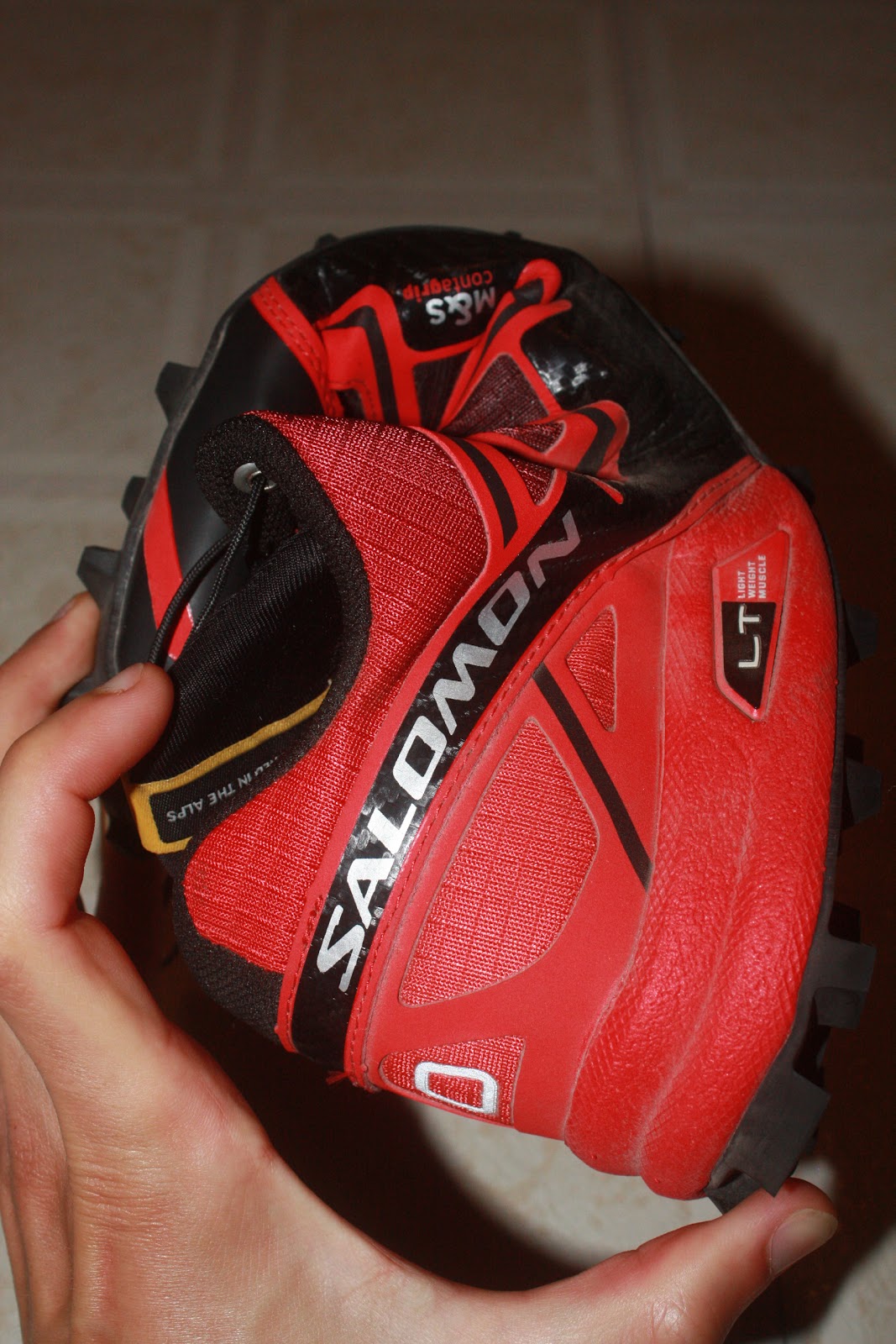 salomon fellcross 3