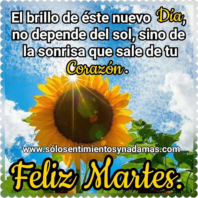 Feliz martes.