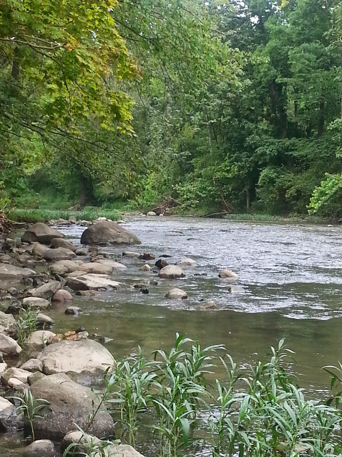 Exploring Ohio Hiking Battelle Darby Creek Metro Park
