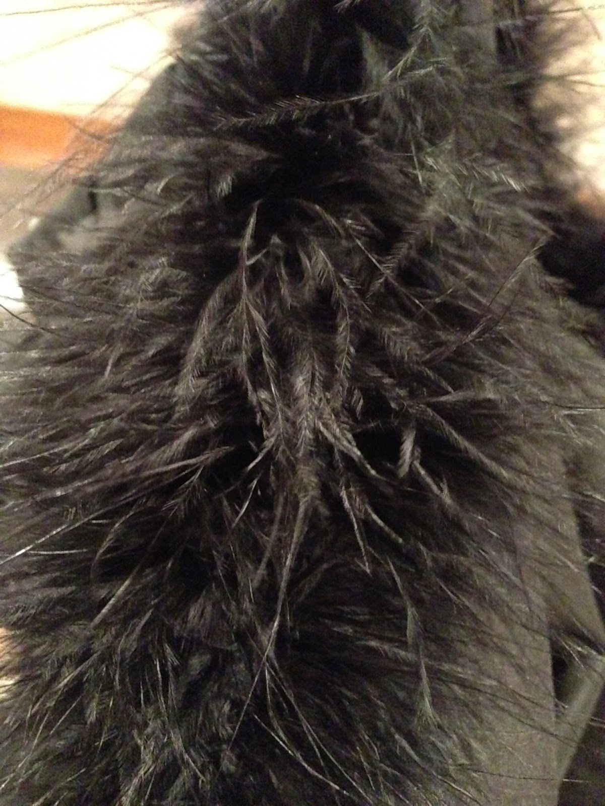 theladydetalle: Sewing on marabou feather trim - a mini tutorial