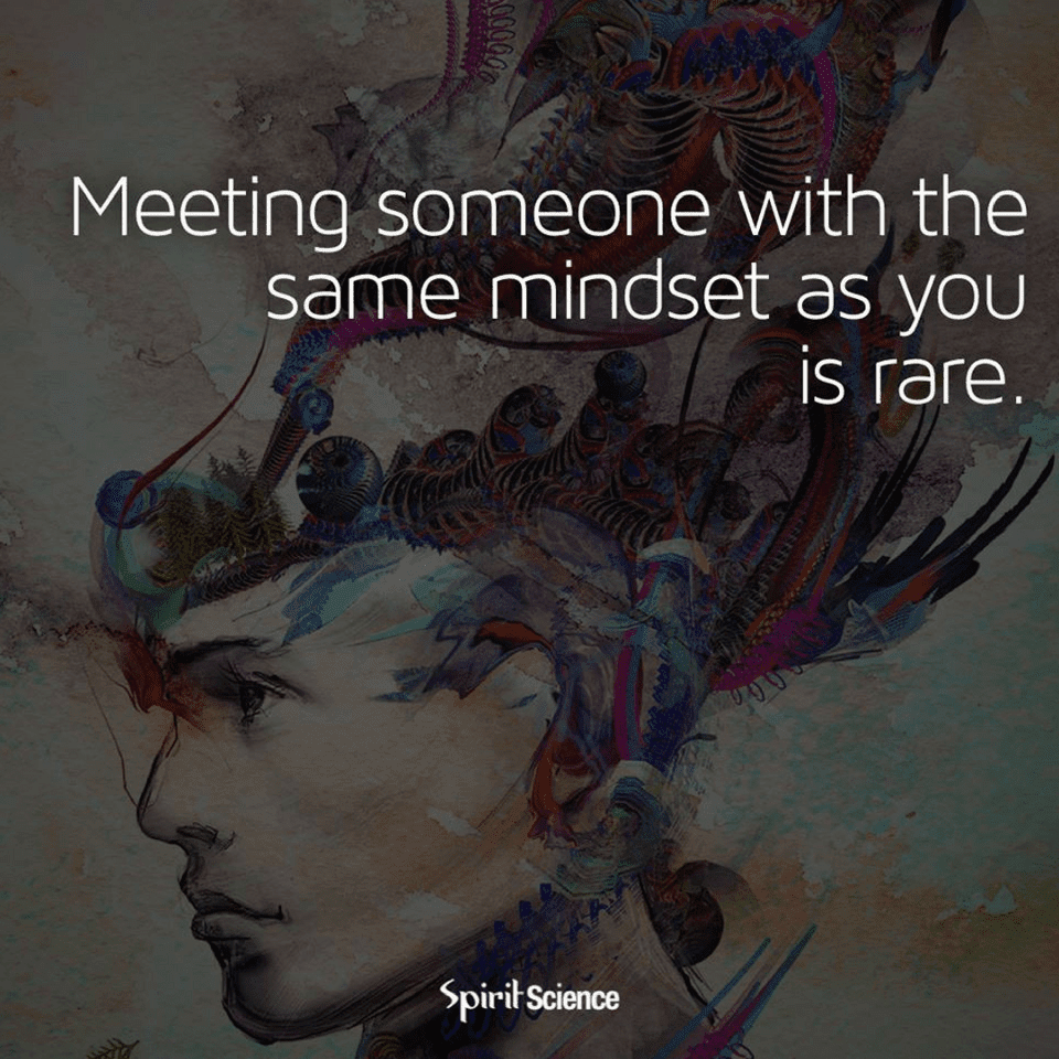 Quotes Meeting someone with the same mindset as you is rare. - Quotes