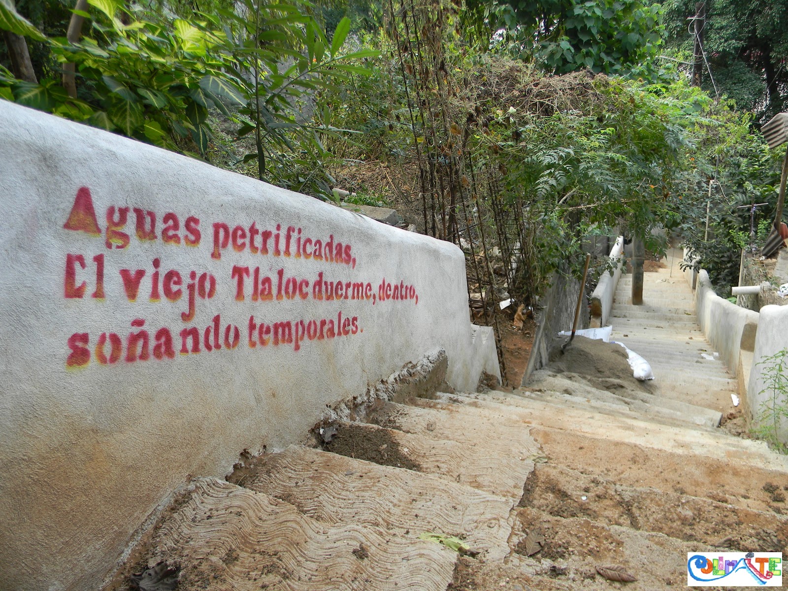 Colimarte: Murales Letras y Trazos en la Pared en Manzanillo día final