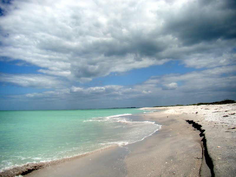Pine Island, Florida Beach Day on Cayo Costa Florida