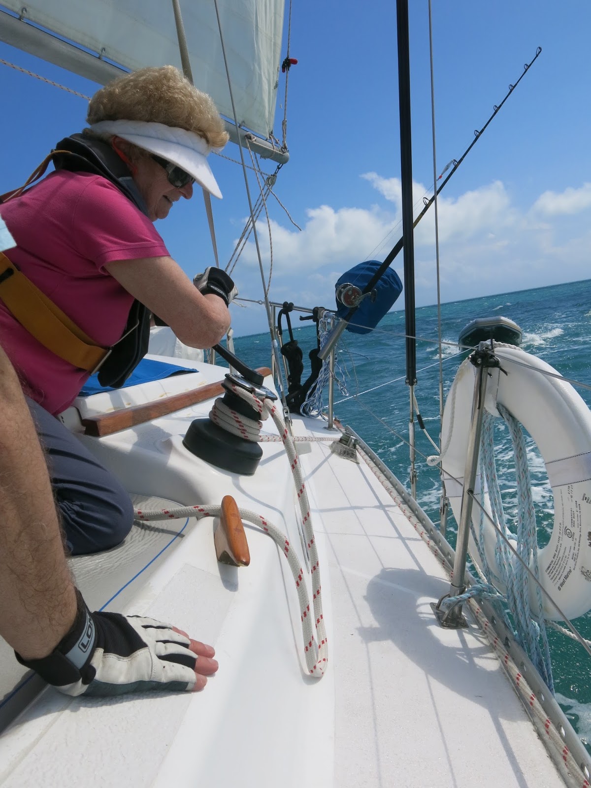 LEARN TO SAIL TODAY...