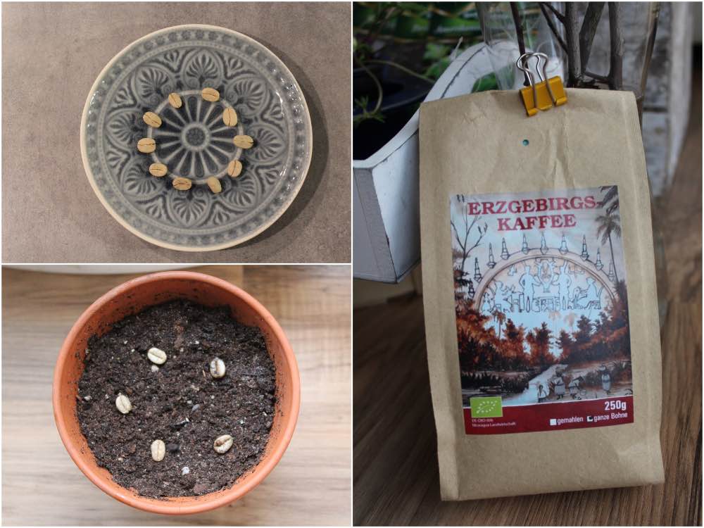 Erzgebirgs Kaffee Und Kaffee Mandalas Bergblumengarten