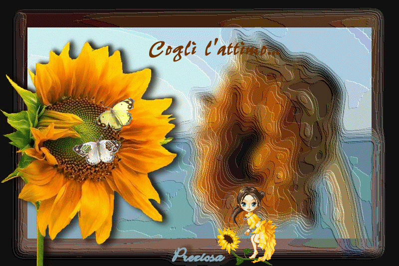 COGLI L' ATTIMO - dal web