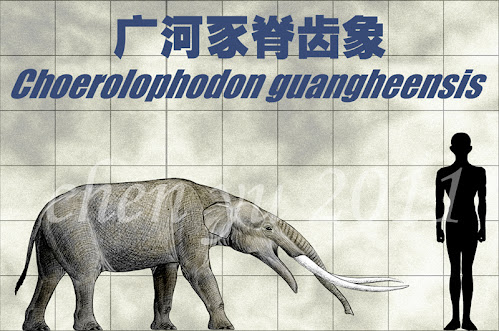 proboscidea prehistorica Choerolophodon