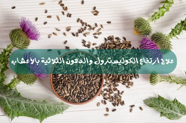 علاج ارتفاع الكوليسترول والدهون الثلاثية بالأعشاب 