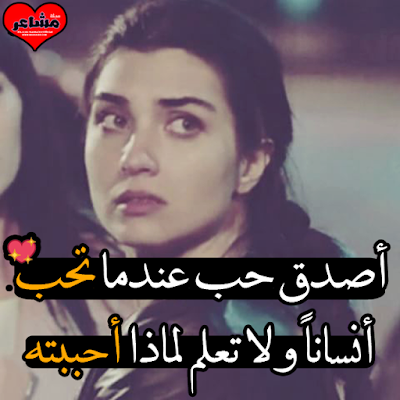 17353581_19483164354