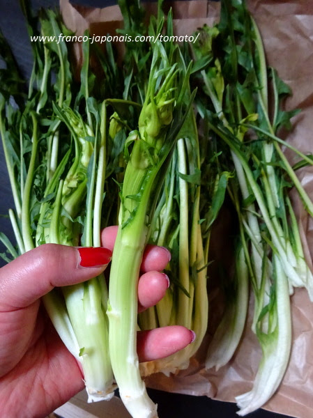 Mme Tomatoのグルメ ガーデン 雑記 Bis サラダ菜 プンタレル