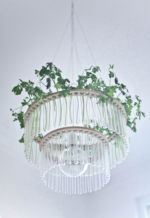 Test Tube Chandeliers by Pani Jurek