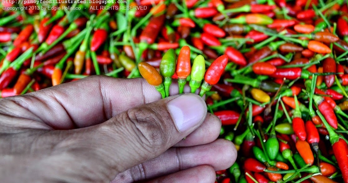 Philippine Food Illustrated siling labuyo