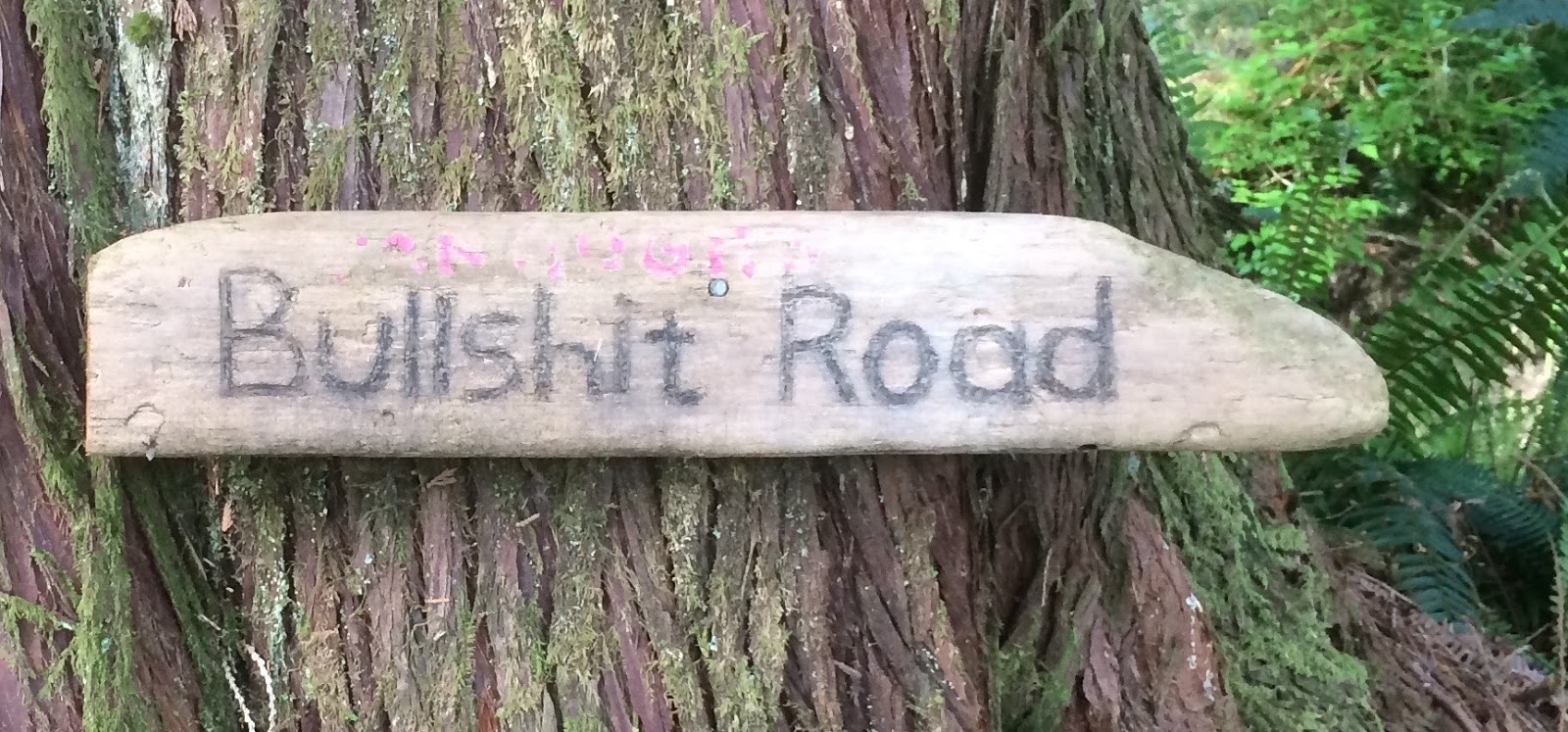 Shackleton�s Watchwords