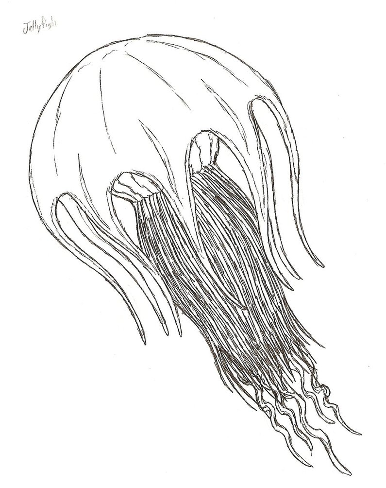Coloring Pages Jellyfish for Adult - GO Coloring Pages