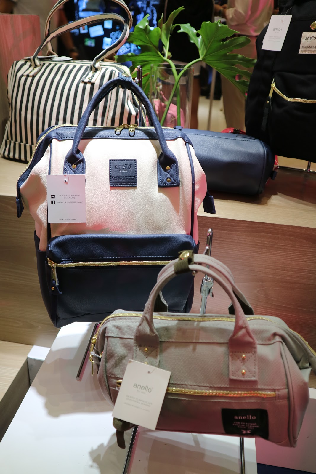 ANELLO in MANILA!♥ ARTSY FARTSY AVA