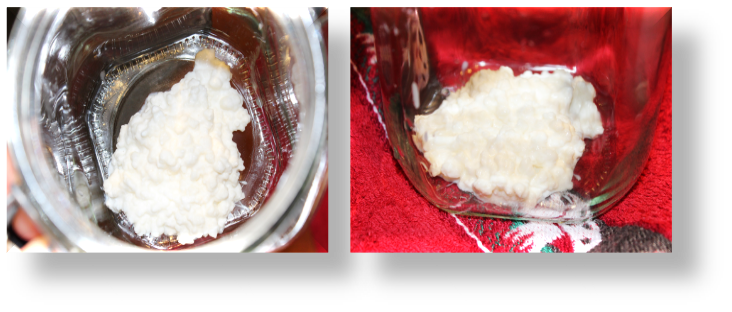 CÓMO ELABORO KÉFIR CASERO DE LECHE {PASO A PASO}