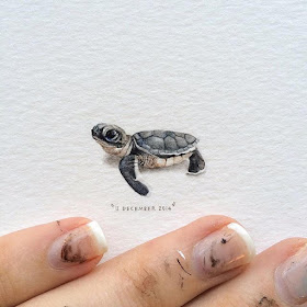 07-Baby-Sea-Turtle-Lorraine-Loots-Tiny-Art-www-designstack-co