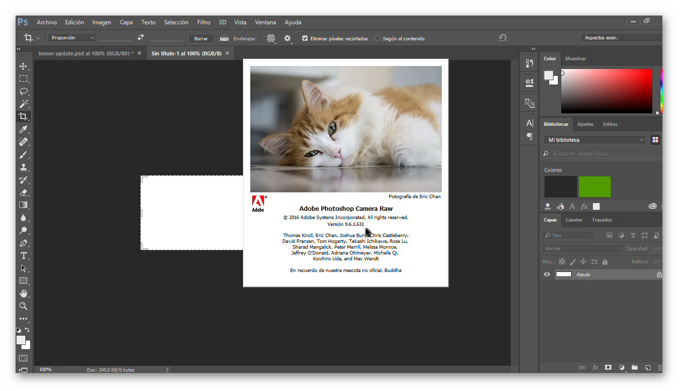 photoshop cs5 portable camera raw plugin photoshop cs5 portable camera raw plugin