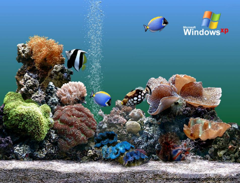 Desktop Wallpaper · Gallery · Computers · Windows aquarium