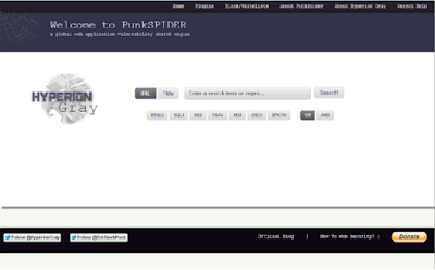 لأصحاب المواقع والمنتديات إكتشف ثغرات موقعك من خلال موقع  punkspider