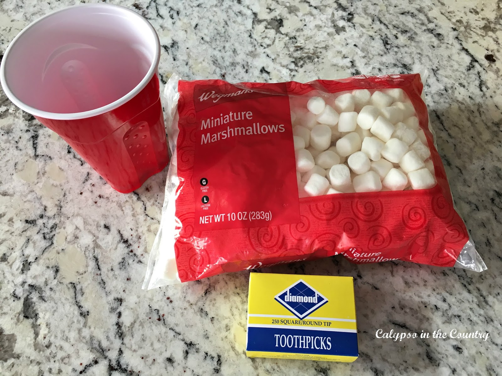 Marshmallow Toothpick Challenge - A fun game for a winter themed party
