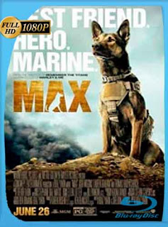 Max Colección (2015-2017) HD [1080p] Latino [GoogleDrive] chapelHD