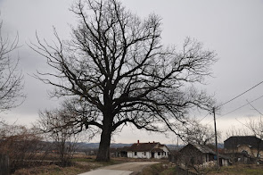 СПИСАК ЗАПИСА У СРБИЈИ