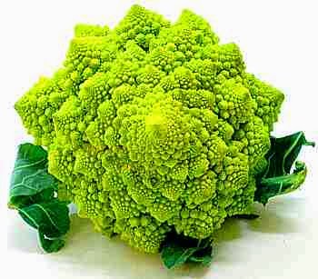 BROCOLI
