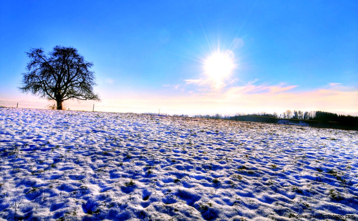 Covered with snow under the ice the World Wallpaper 4   Landscape