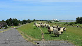 Hohenaspe Eine Gemeinde Stellt Sich Vor Juni 2017