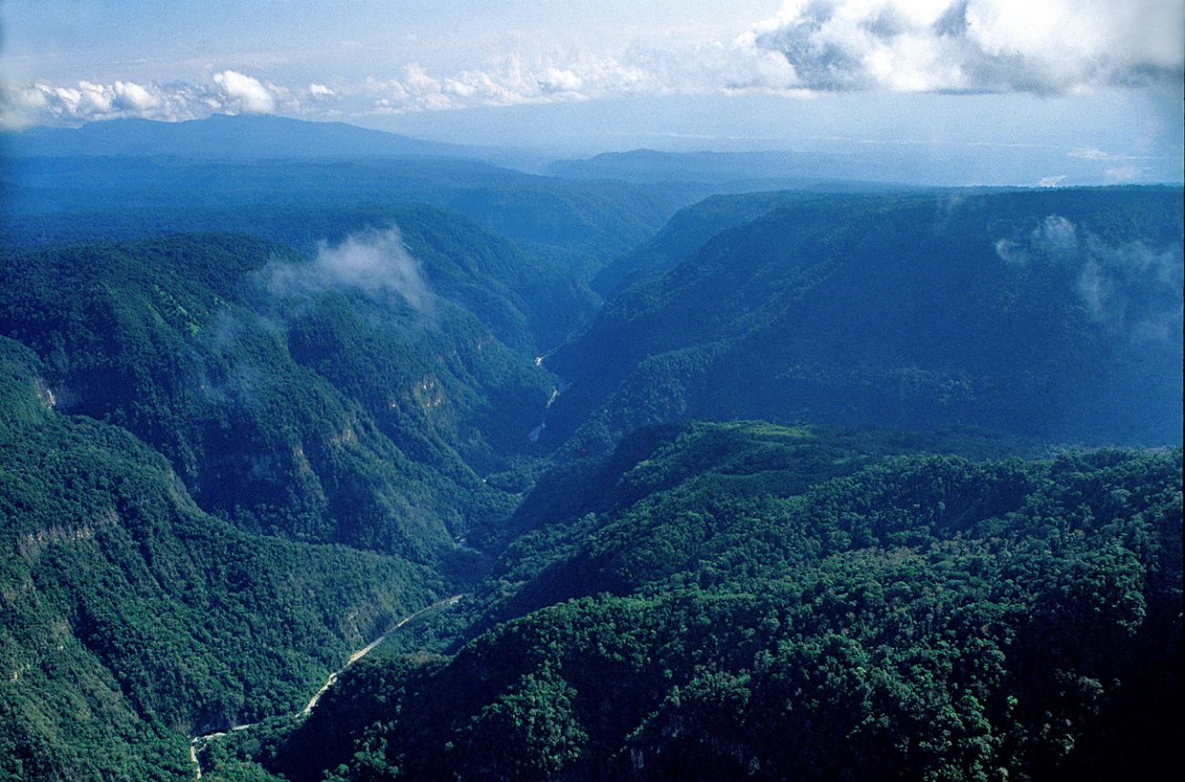 Джунгли бразилии. Сельва Бразилии. Перу Сельва горы. Сельва Перу природа. Перу Амазония.