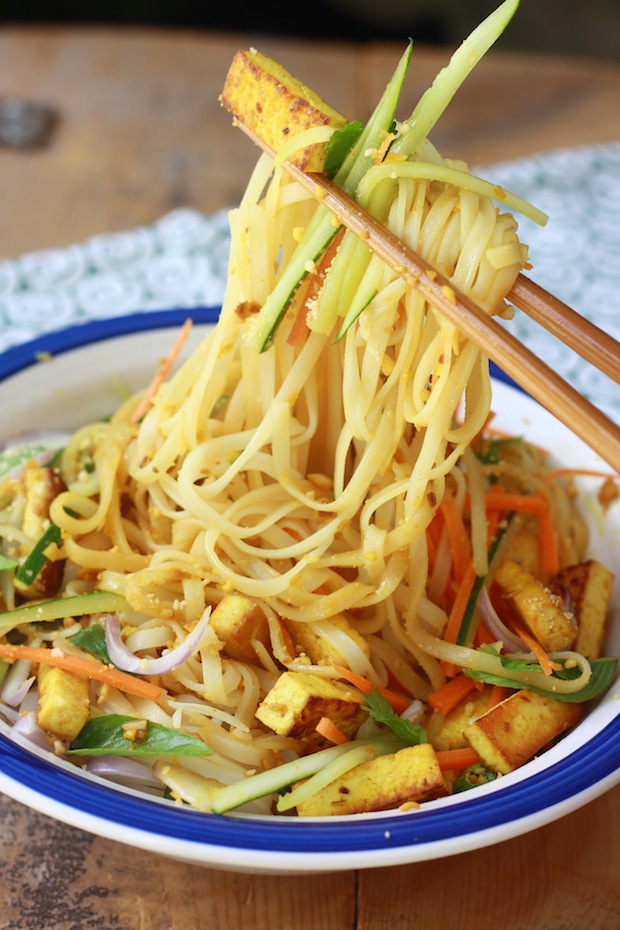 Rice Noodle Salad with Spicy Lemongrass Dressing by SeasonWithSpice.com