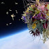 Θέλουν Άνοιξη Στο Διάστημα! Τα Πρώτα Λουλούδια Στη Σελήνη