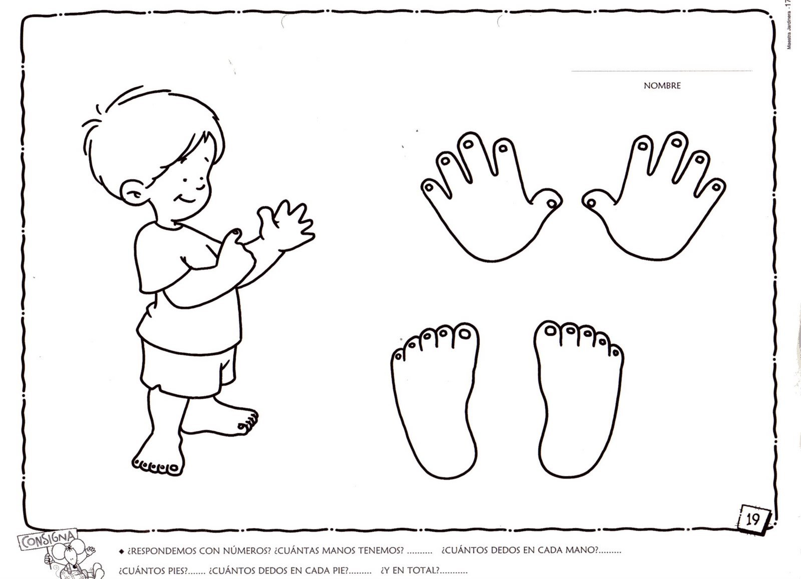 Didácticas de las Matemáticas en Educación Infantil: BOE Y LAS MATEMÁTICAS