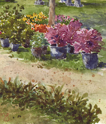 painting watercolor step bushes morning foreground opened even