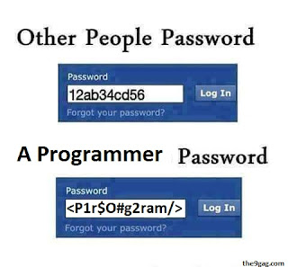 Programmer vs other people